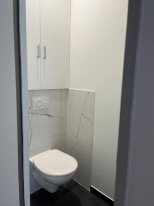 Superbe Appartement Plein Centre Мийо Экстерьер фото